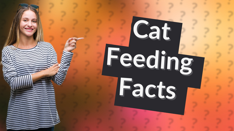 Cat Feeding Facts