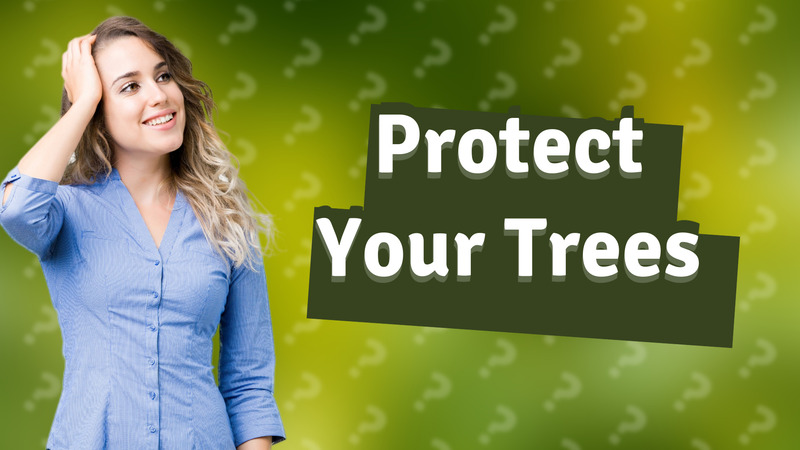 Protect Your Trees