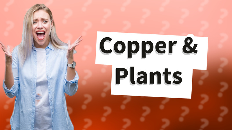 Copper & Plants