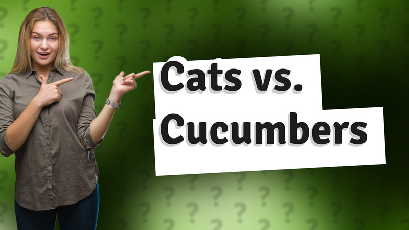 Cats vs. Cucumbers