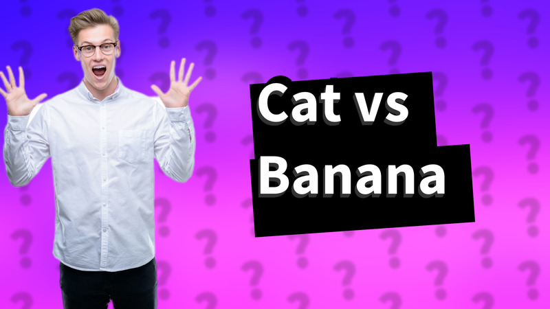 Cat vs Banana