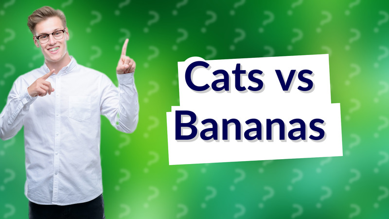 Cats vs Bananas