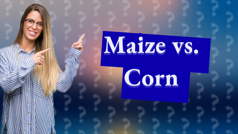 Maize vs. Corn