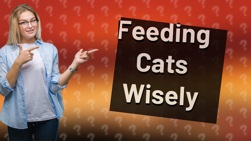 Feeding Cats Wisely