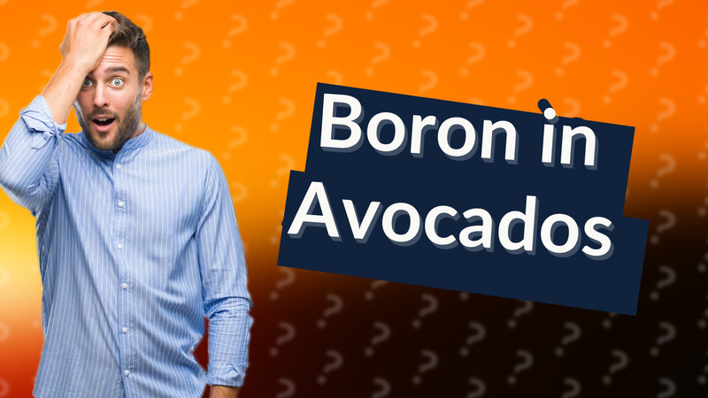 Boron in Avocados