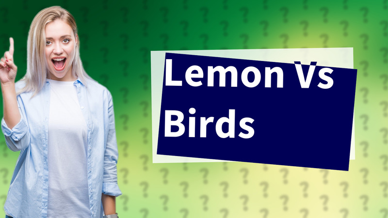 Lemon Vs Birds