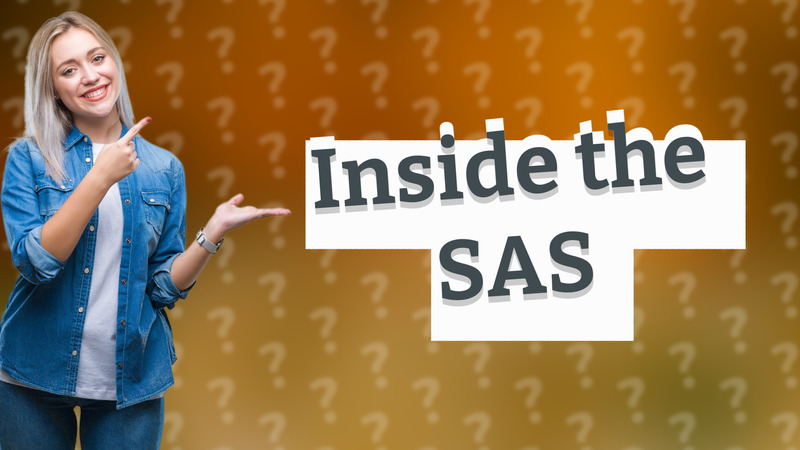 Inside the SAS