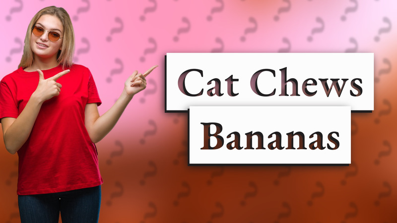 Cat Chews Bananas