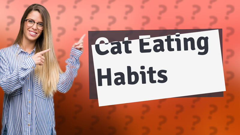 Cat Eating Habits