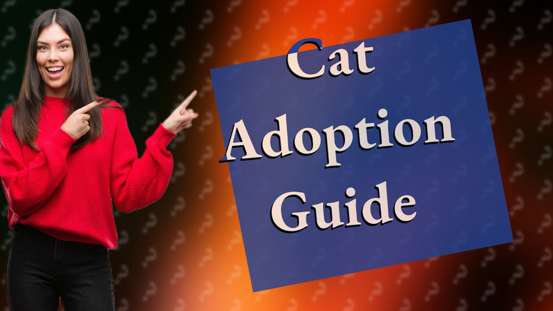 Cat Adoption Guide