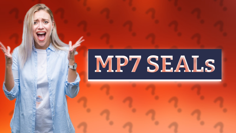 MP7 SEALs