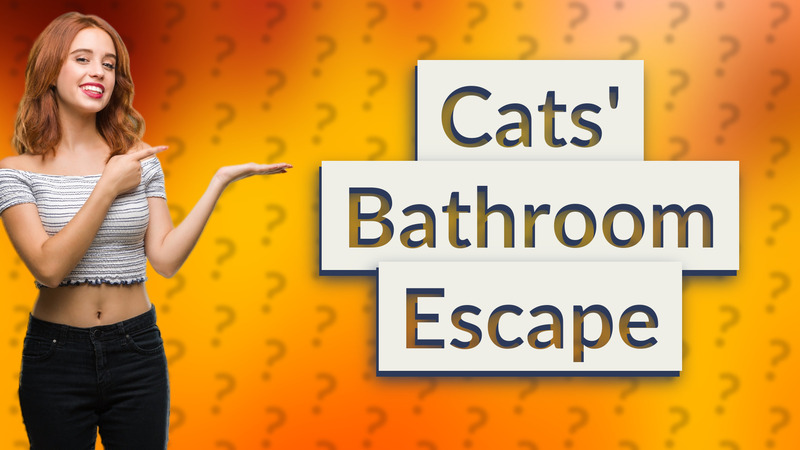 Cats' Bathroom Escape