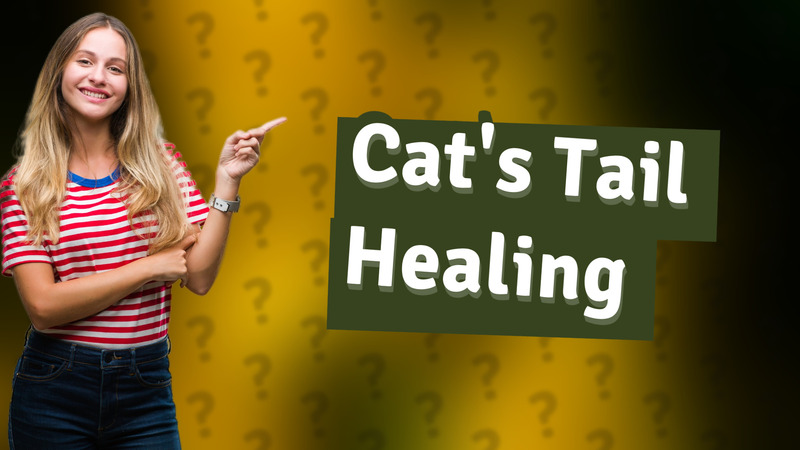 Cat's Tail Healing