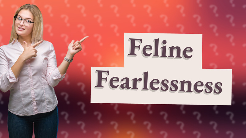 Feline Fearlessness