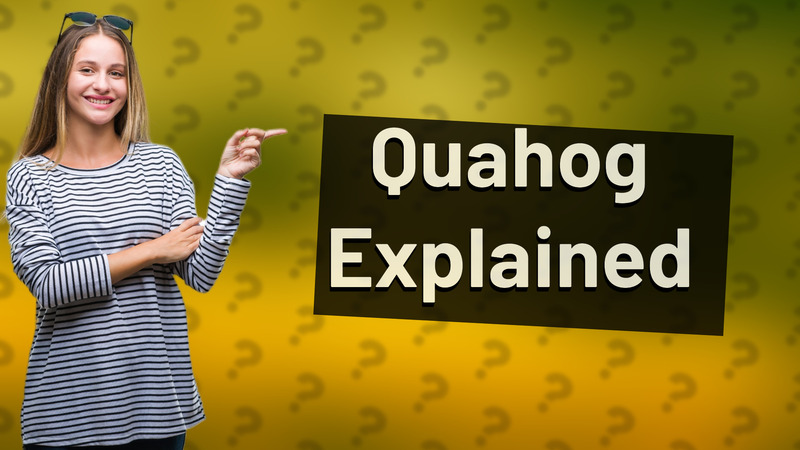 Quahog Explained