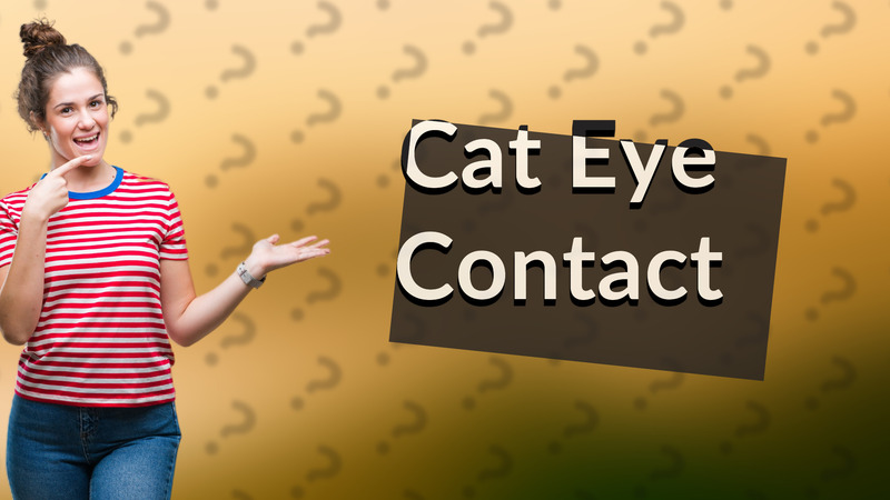 Cat Eye Contact