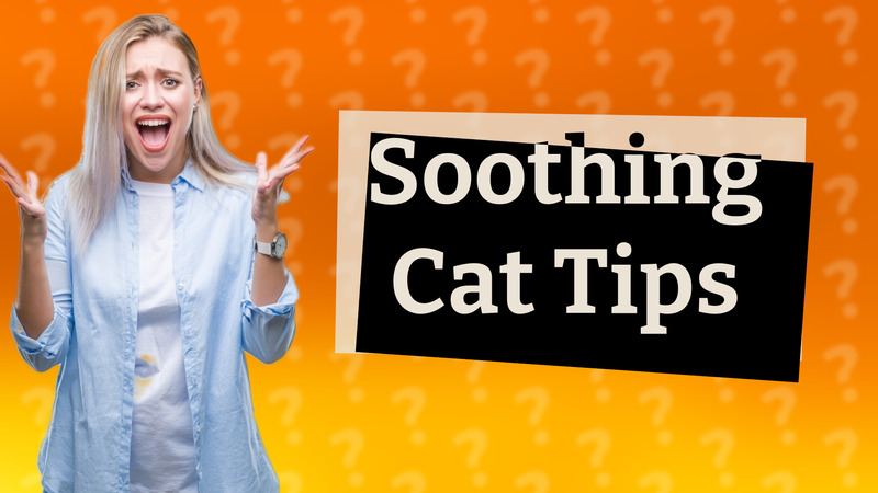 Soothing Cat Tips