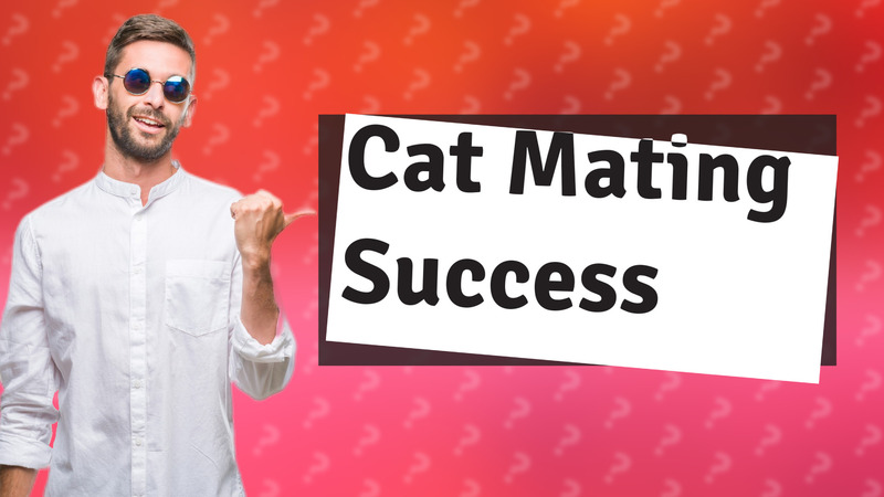 Cat Mating Success