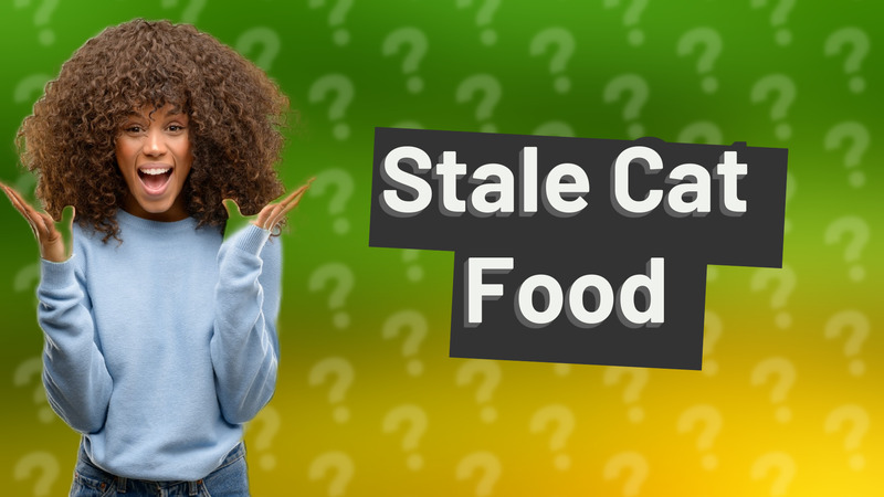 Stale Cat Food