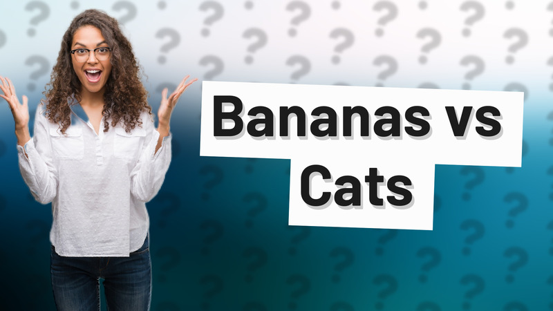 Bananas vs Cats