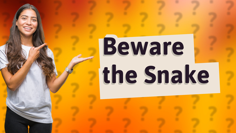 Beware the Snake