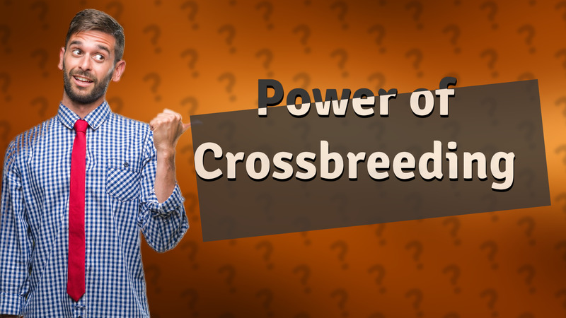 Power of Crossbreeding