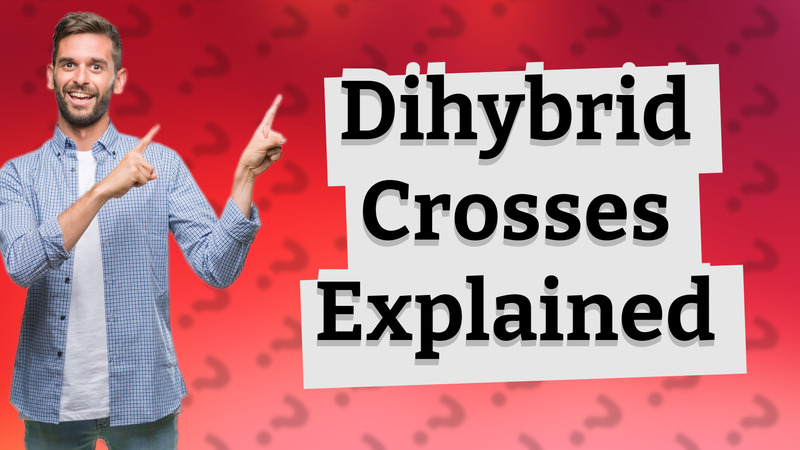 Dihybrid Crosses Explained