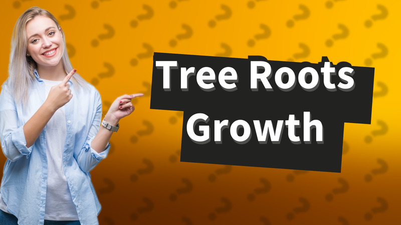 Tree Roots Growth