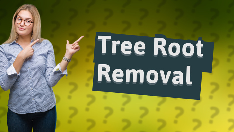 Tree Root Removal