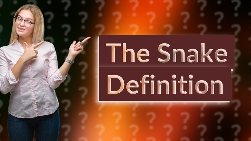 The Snake Definition
