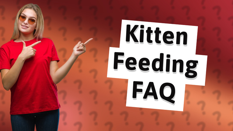 Kitten Feeding FAQ