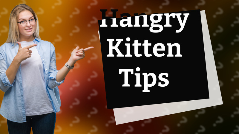 Hangry Kitten Tips