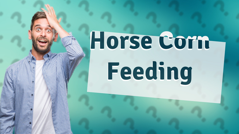 Horse Corn Feeding