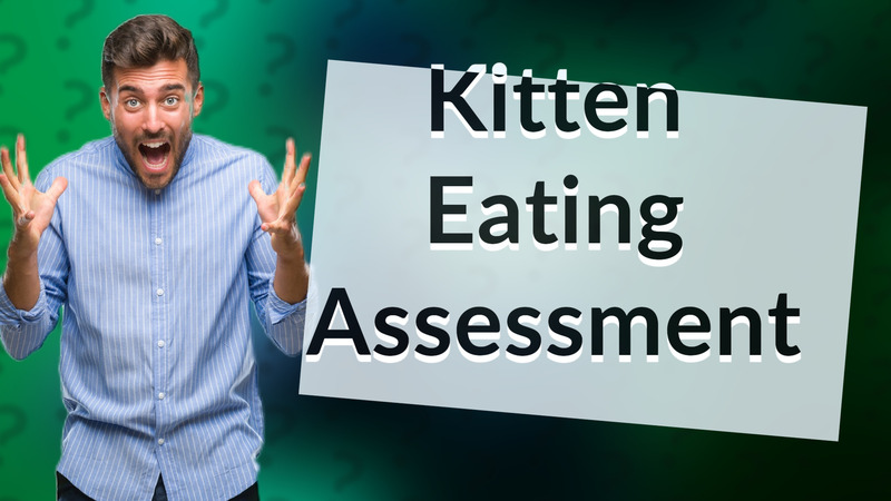 Kitten Eating Assessment