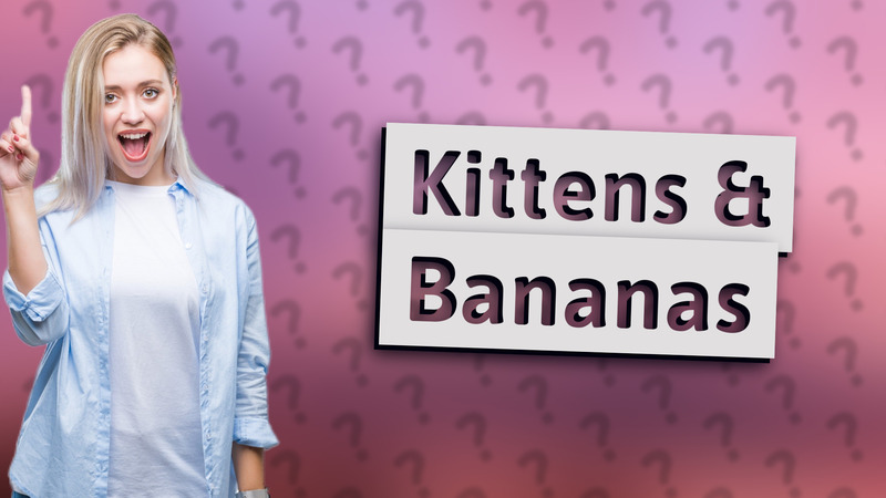 Kittens & Bananas