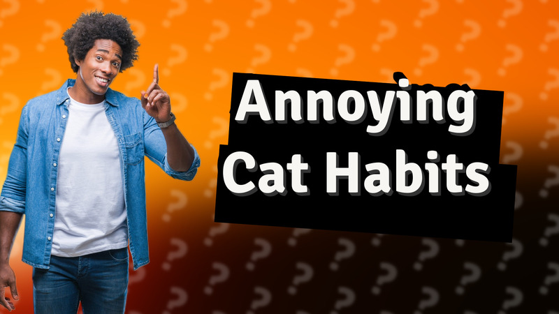 Annoying Cat Habits