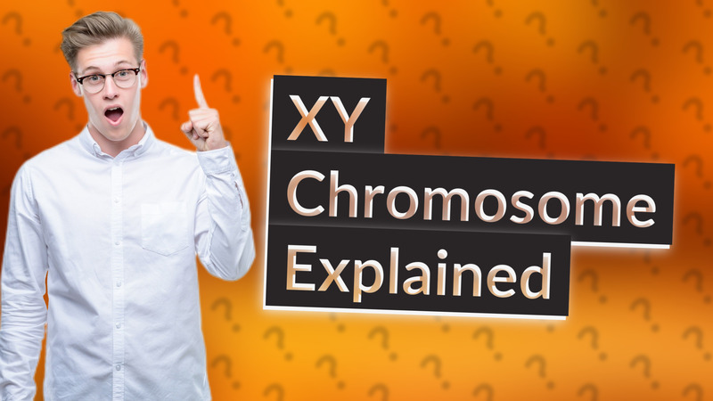 XY Chromosome Explained