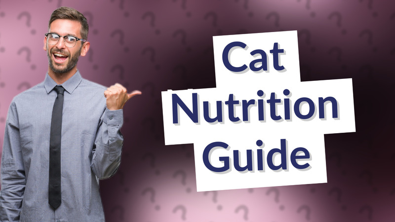 Cat Nutrition Guide