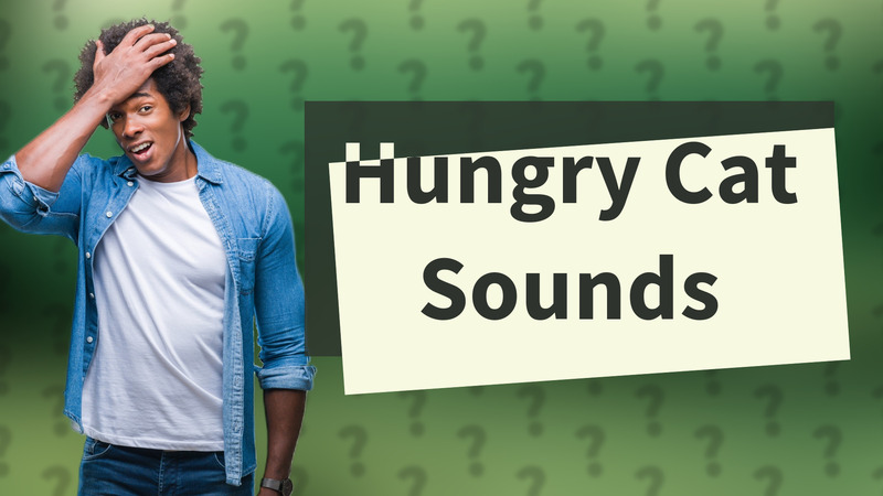 Hungry Cat Sounds
