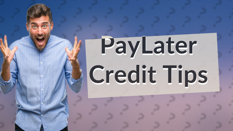 PayLater Credit Tips