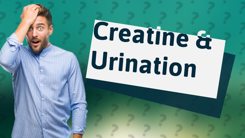 Creatine & Urination