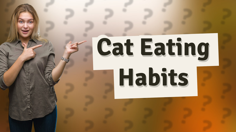Cat Eating Habits