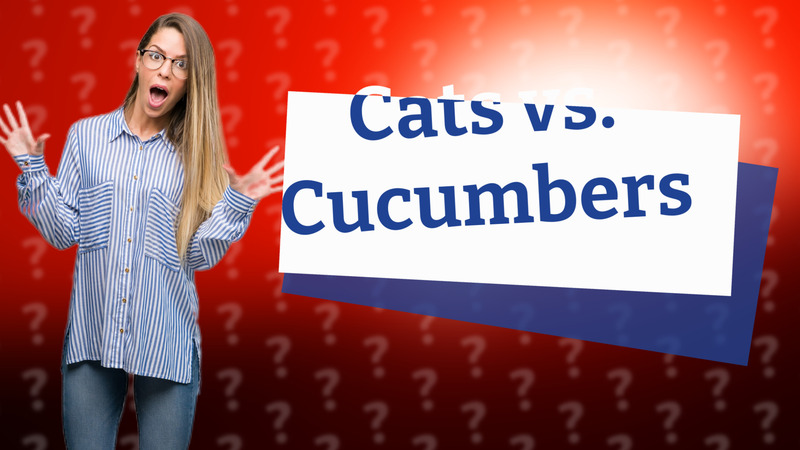 Cats vs. Cucumbers