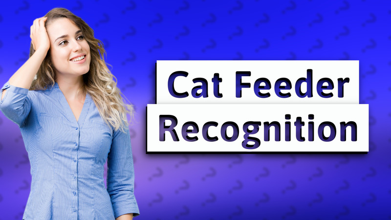 Cat Feeder Recognition