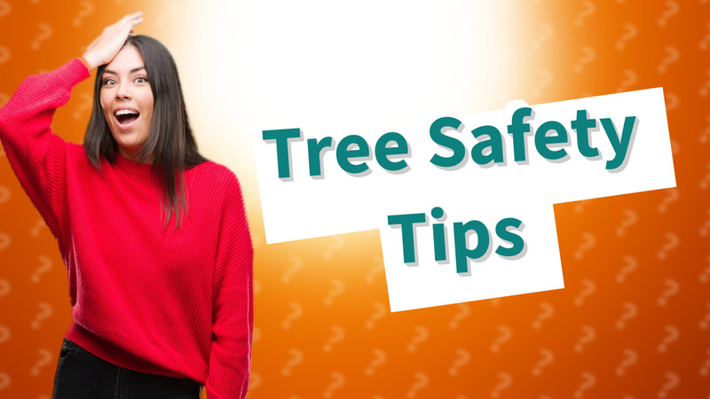 Tree Safety Tips