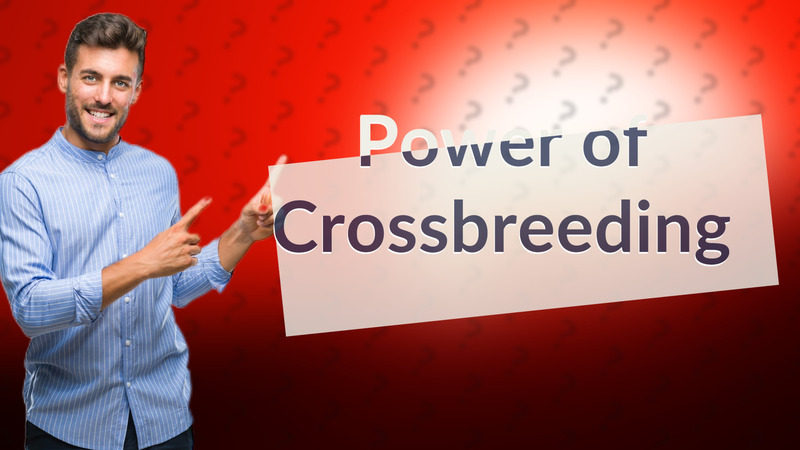 Power of Crossbreeding