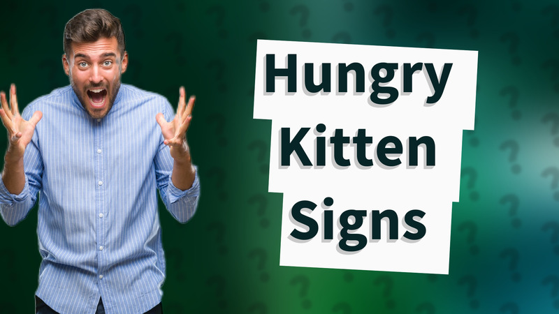Hungry Kitten Signs