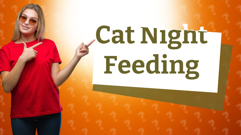 Cat Night Feeding