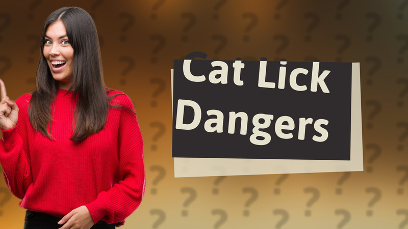 Cat Lick Dangers