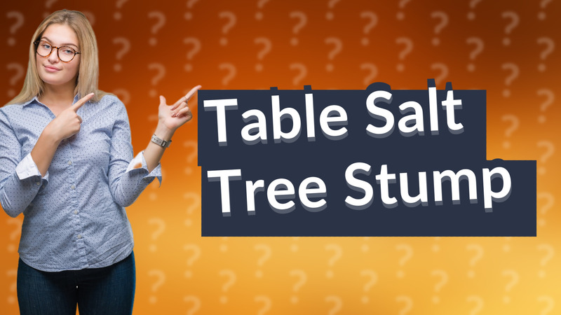 Table Salt Tree Stump